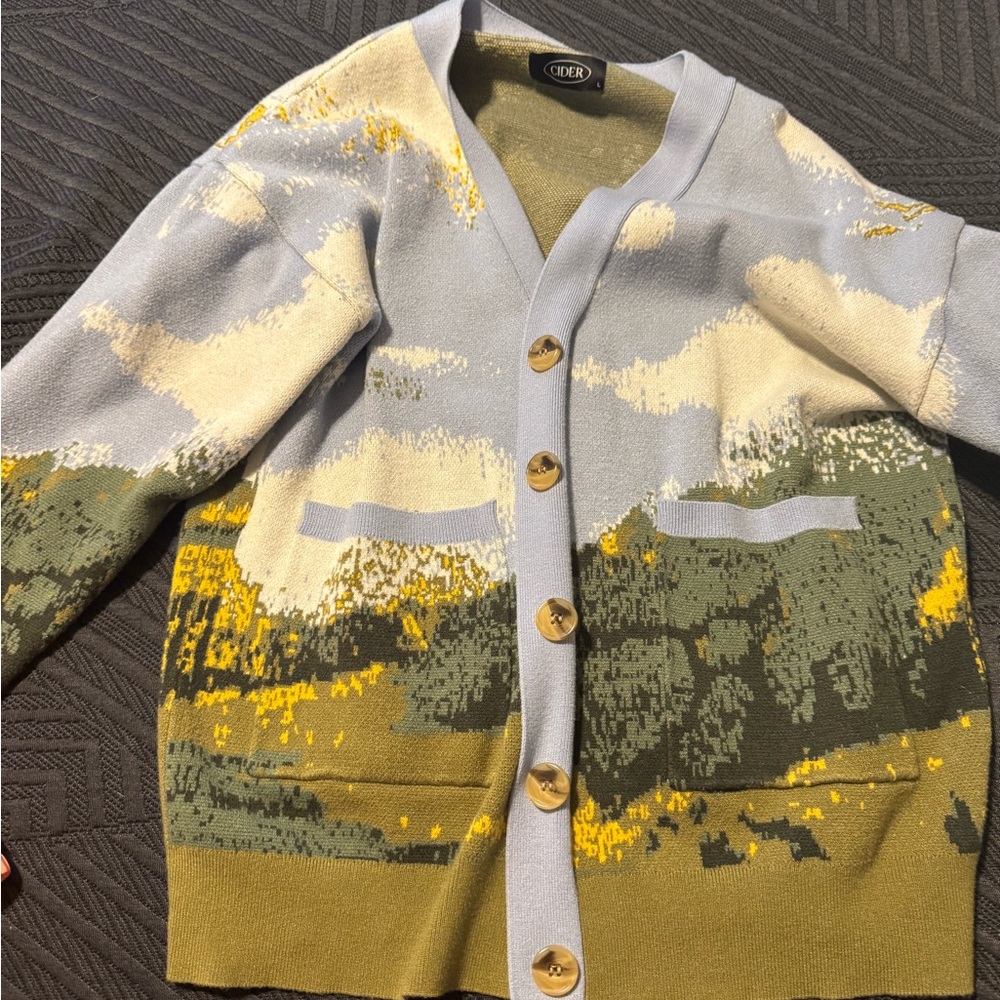 Multicolor Button-Up Sweater